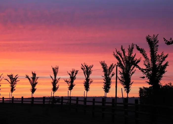 Luxury tent Roulotte Poulette Mortagne-au-Perche